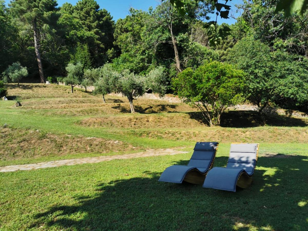 مبيت وإفطار A14 Pietrasanta La Dama Del Bosco المظهر الخارجي الصورة