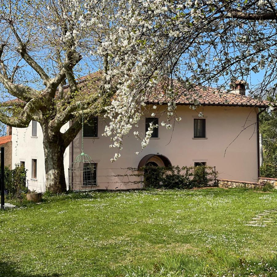 مبيت وإفطار A14 Pietrasanta La Dama Del Bosco المظهر الخارجي الصورة